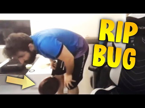 FAIL and FUN moments of DPC 2021 — WePlay AniMajor Qualifiers