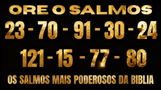 ESSES SÃO OS MELHORES SALMOS DA BIBLIA (23, 70, 91, 30, 24, 121, 15, 77 E 80)