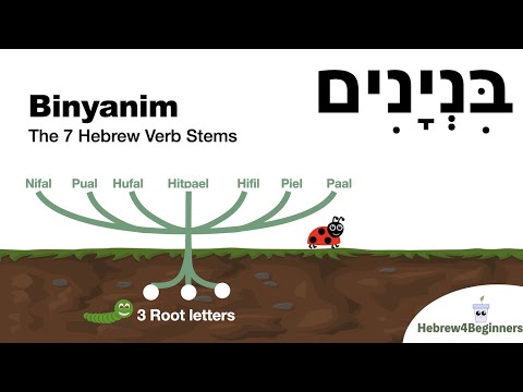 Understanding Hebrew Verbs - The Binyanim explained visually!