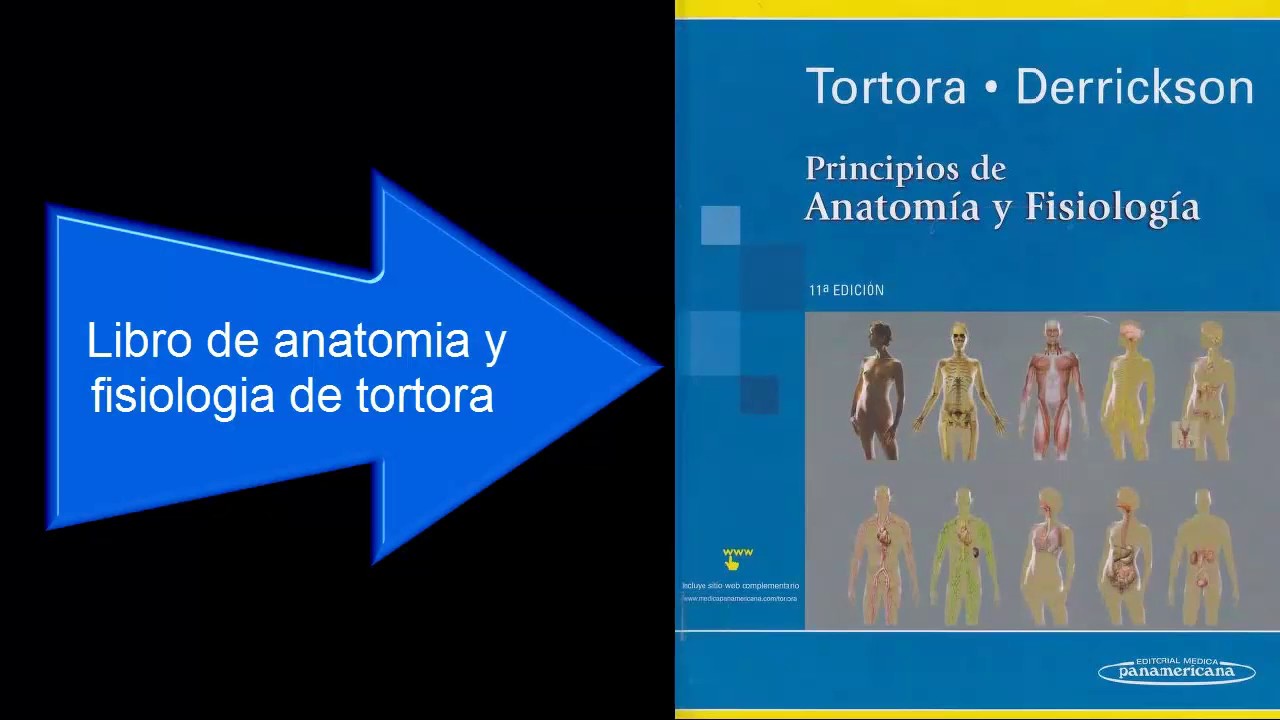 Descargar Anatomia y Fisiologia de Tortora en PDF por Mediafire