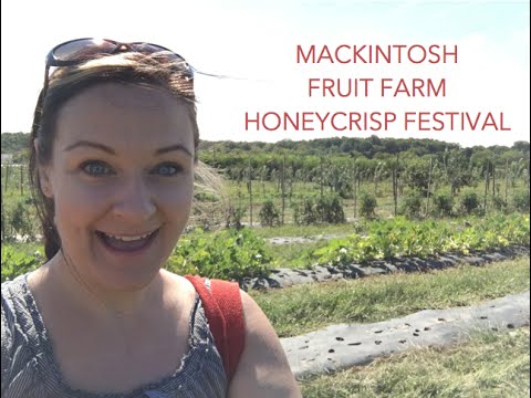download lagu mp3 mp4 Honeycrisp Apple Picking Maryland, download lagu Honeycrisp Apple Picking Maryland gratis, unduh video klip Honeycrisp Apple Picking Maryland