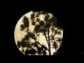 Gregory Alan Isakov - That Moon Song 