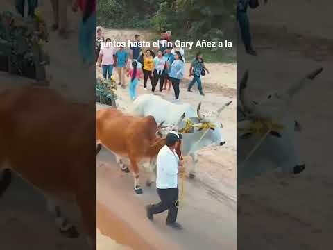 #santacruz #bolivia #musica #taquirari #canciónoriginal  ORIGINAL SONG "RIO PIRAÍ" Taquirari Fusión