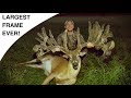 WORLD RECORD WHITETAIL FRAME? | BRACE YOURSELF!