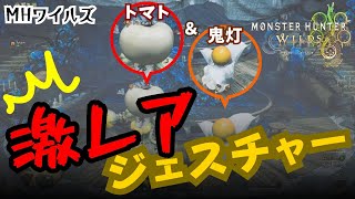 激レア⁉️アイルーがちょっとグロい😭💦｜MHワイルズ