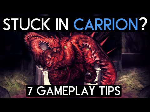 7 Things CARRION doesn't tell you!
