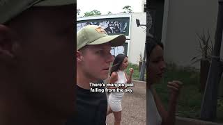 Free Mangos in Venezuela! 🥭🇻🇪