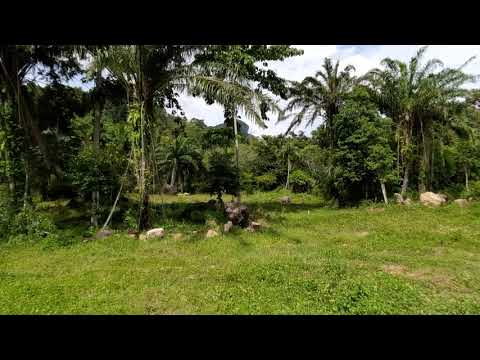 One Rai of Land in Quiet Green Zone for Sale in Ao Nang, Krabi