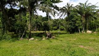 One Rai of Land in Quiet Green Zone for Sale in Ao Nang, Krabi