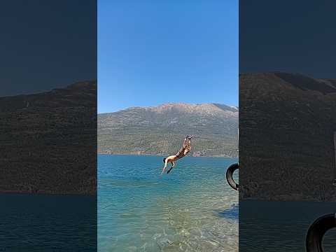 Rocky desafía el Lago Puelo con un clavado épico 🌊🏔️ #Shorts #Patagonia