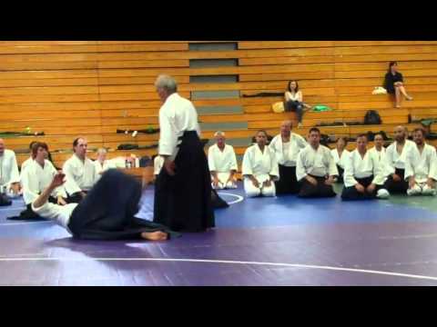 Chiba Sensei: Katatedori iriminage