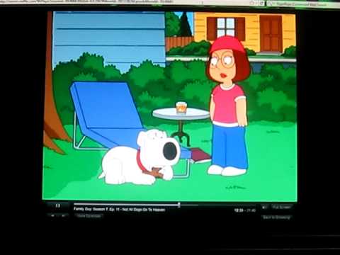 Brian Griffin Growling New Kids On the Block
