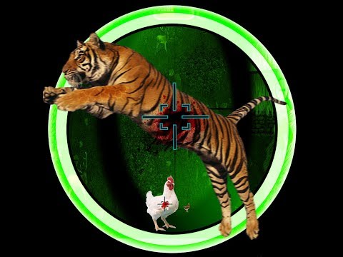 Chicken Shoot 3d 2018 : Hunting jungle animals Video