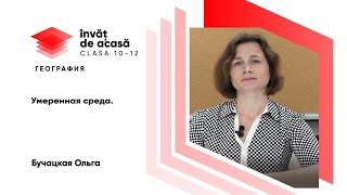 "Умеренная среда"