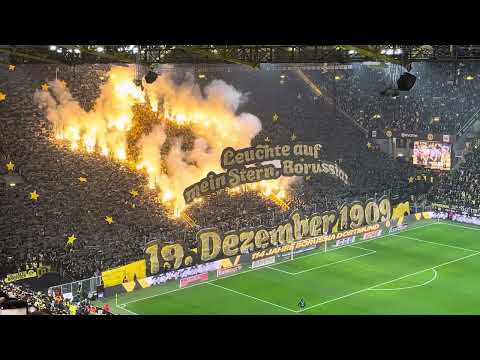 Leuchte auf mein Stern Borussia #ultras #pyro #bundesliga #abonnieren