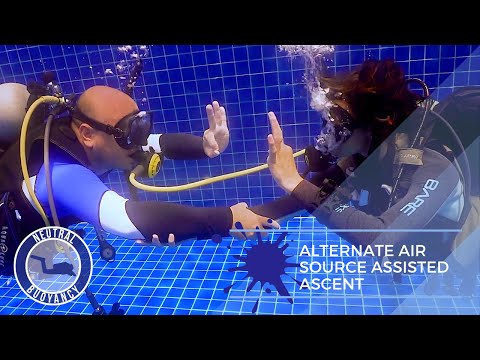 How to Do an Alternate Air Source Assisted Ascent 🤿 PADI Divemaster Skills