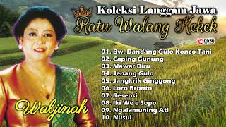 Download lagu Koleksi Langgam Jawa ''Ratu Walang Kekek '' WALDJINAH #dasastudio mp3