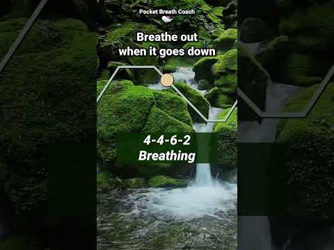 Vagus Nerve Breathing Meditation | 4-4-6-2 Rhythm to Calm Your Nervous System