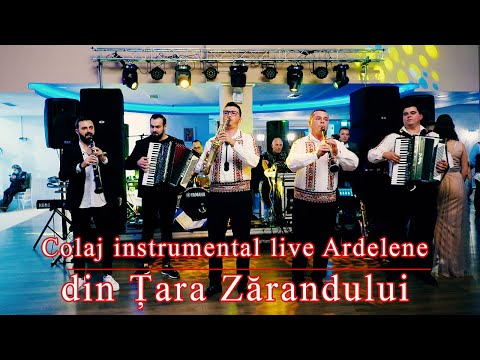 Colaj instrumental live, Ardelene din Tara Zărandului - Orchestra Fratii Sandru & Vest Music