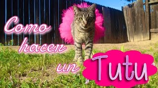 DIY Como Hacer un TuTu para Gatita