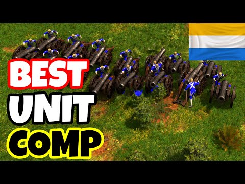MUST TRY DUTCH ARMY - Age Of Empires 3 DE