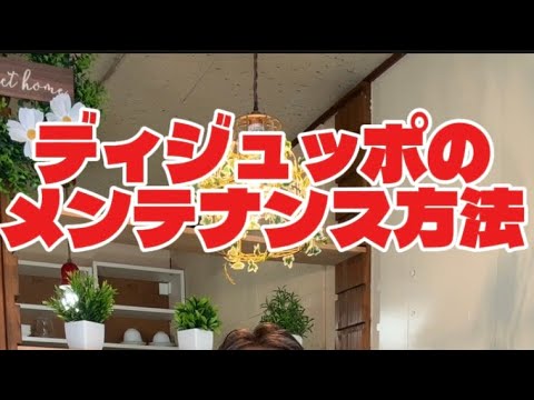 哲学科 ディジュッポのメンテナンス