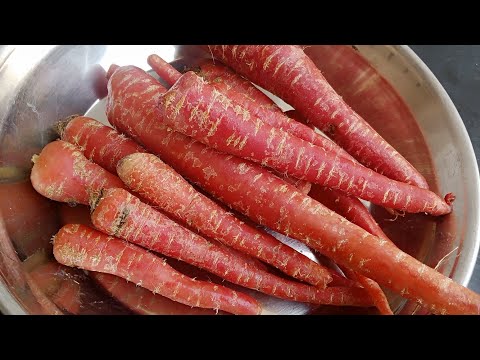 , title : 'how to keep carrots fresh for long time'