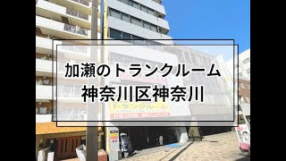 YouTube動画