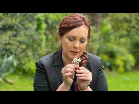 Vitrina e librit/ Kohë astrale- Dritan Sulcebe; bëhet fjalë për një kohë të ardhme