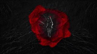 Kevin Max- Cryptic Bouffant [Official Lyric Video]