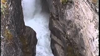 joanne robertson - hi watt