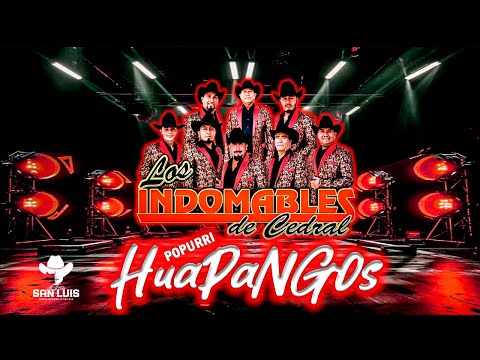 Los Indomables de cedral | POPURRI de Puros Huapangos 2024