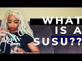 How To Save Money Fast What Is A Susu