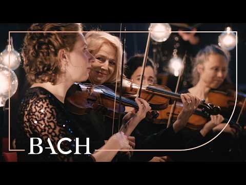 Bach - Ehre sei dir, Gott from Christmas Oratorio BWV 248 - Mortensen | Netherlands Bach Society