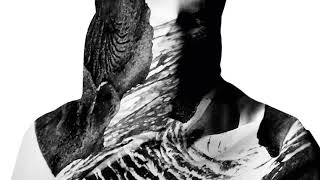 Trentemøller: Circuits