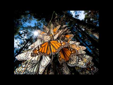 Deep Haze feat. Rima - Celestial (Original Mix)