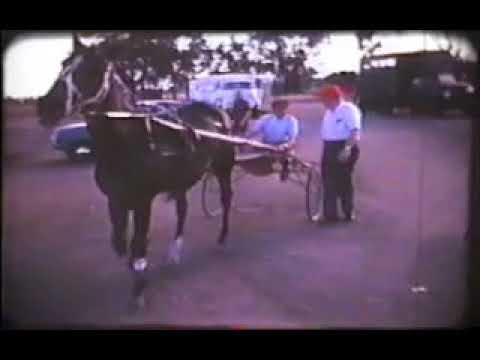 1967 Champion Lady ROBIN DUNDEE