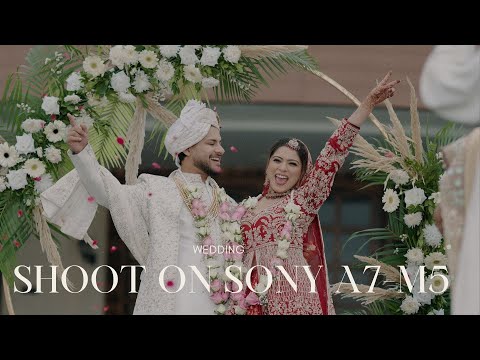 Sony A7M5 Honest Review | Real World Camera Test | Worth It?