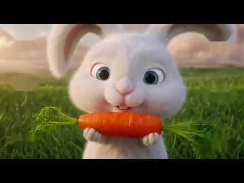 El Conejo Salta Salta en el Jardín | Canciones infantiles divertidas