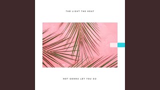 Not Gonna Let You Go