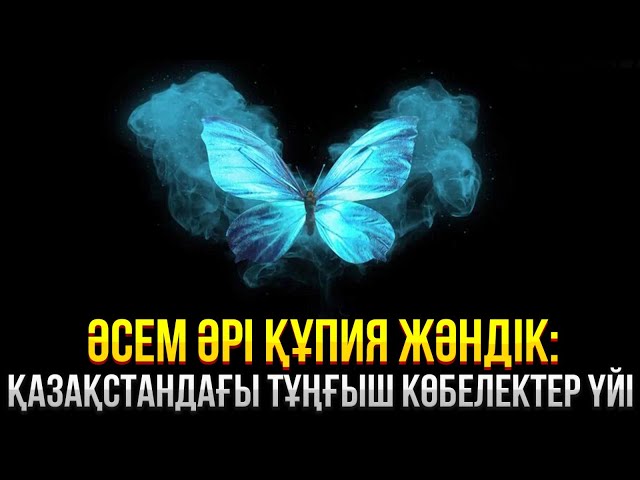 Әсем әрі құпия жәндік: Қазақстандағы тұңғыш көбелектер үйі