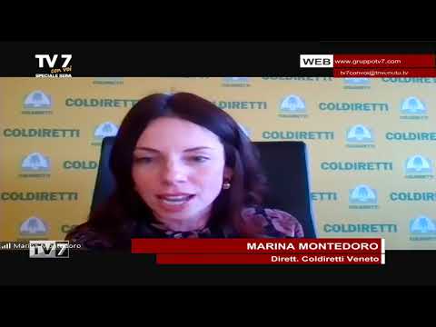 TV7 CON VOI SPECIALE SERA DEL 1/3/22 (5 DI 7) - Agromafie