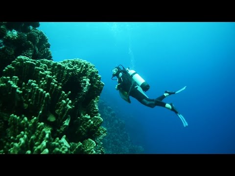 USM - Búsqueda de Actinobacterias Marinas