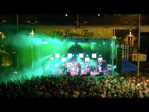 download lagu mp3 mp4 Liquid Zoo, download lagu Liquid Zoo gratis, unduh video klip Liquid Zoo