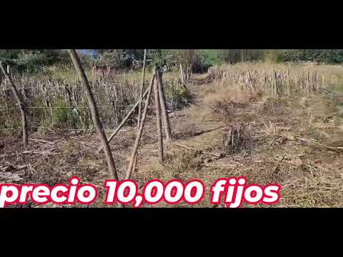  Se vende bonito lote en camton la cabaña distrito del paisnal san salvador