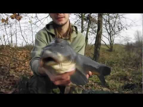 Carp team Exil - Příběhy ze zapomenutých tůní (část 1.)
