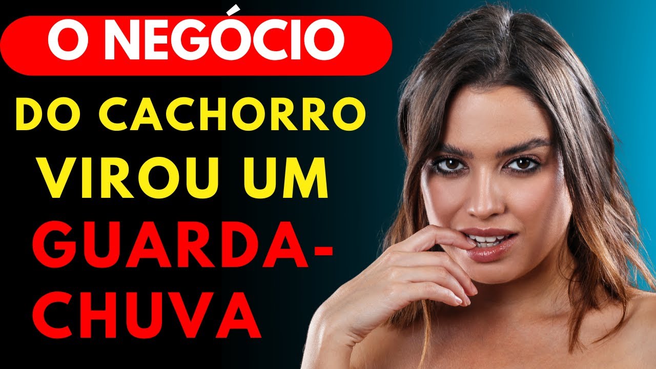 O cachorro foi muito carinhoso comigo