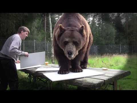 Juuson taidenäyttely Galleria Q Tampere. 1.12 - 14.12. 2019. Tervetuloa