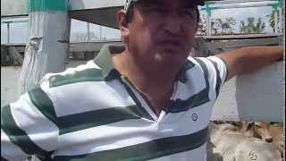 preview picture of video 'ESTANCIAS URUBO EN S M con la MEJOR GENETICA( RED de GANADEROS en BOLIVIA'