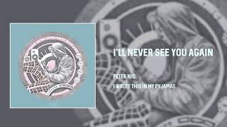 Peter Nic - I'll Never See You Again